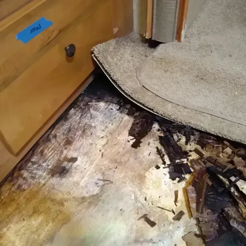 Wood Floor Water Damage in Towaoc, CO